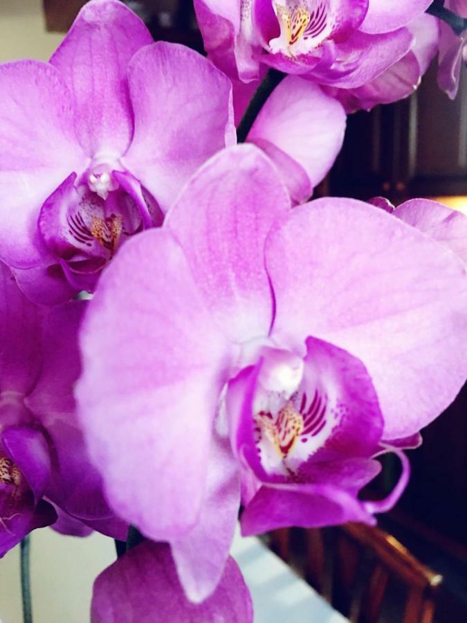 Suite Orchidea By Dimorra Napoli Esterno foto